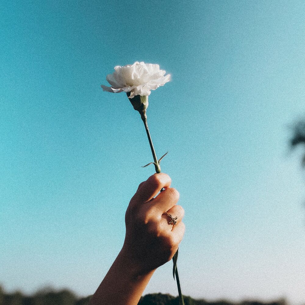Serei Tudo (feat. Laura Salvador)